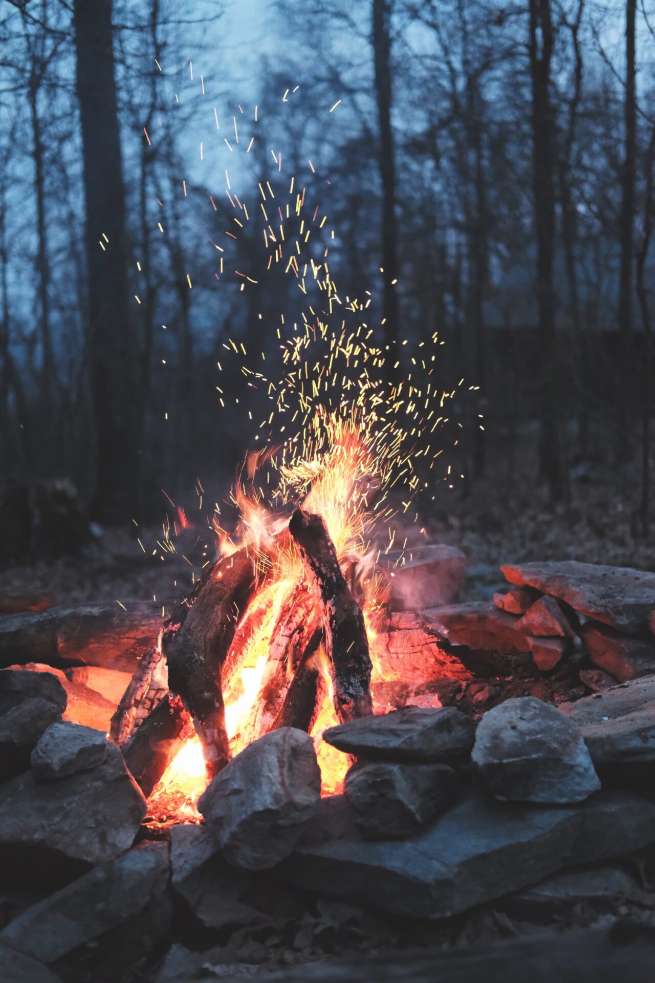 timothy-meinberg-xqV9QdGOSas-unsplash timothy-meinberg-xqV9QdGOSas-unsplash